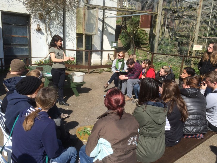 Group and School Visits Monkey Sanctuary